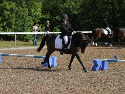 IMG_4876_web
